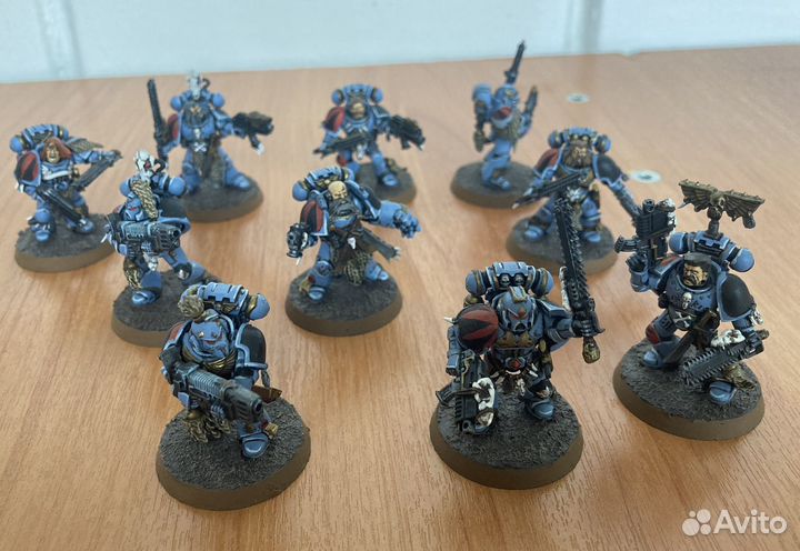 Warhammer 40.000 Grey Hunters-2