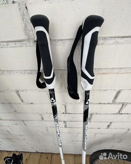 Горные лыжи elan amhibio