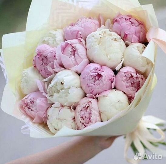 Пионы Букет пионов