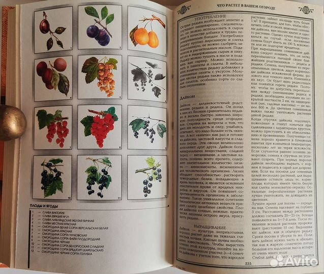 Полезные советы по консервирования, новая, 415 стр