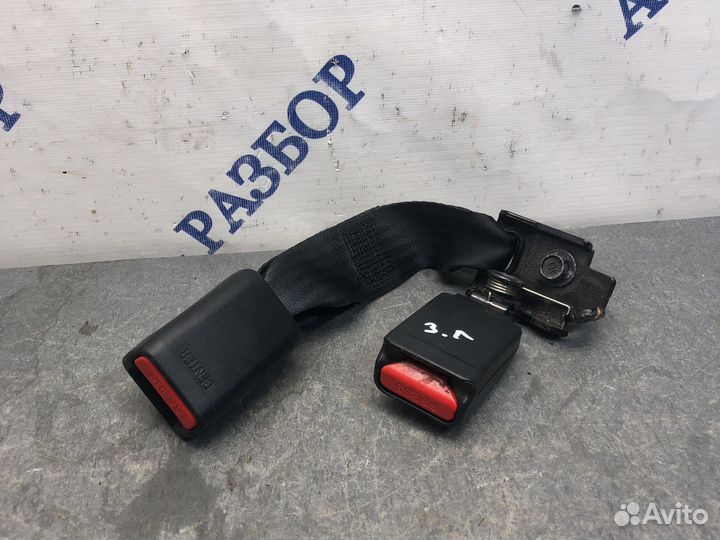 Зад лев защелки ремня Stinger