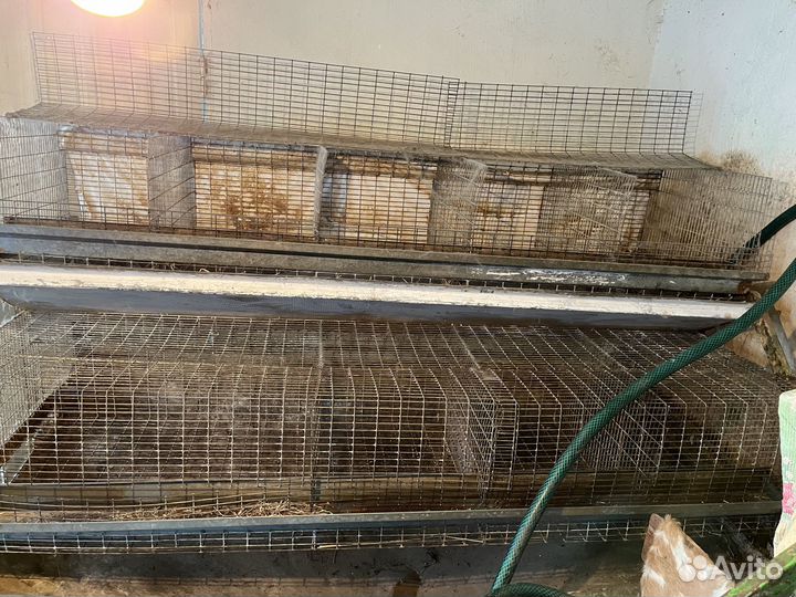 Клетки для кроликов