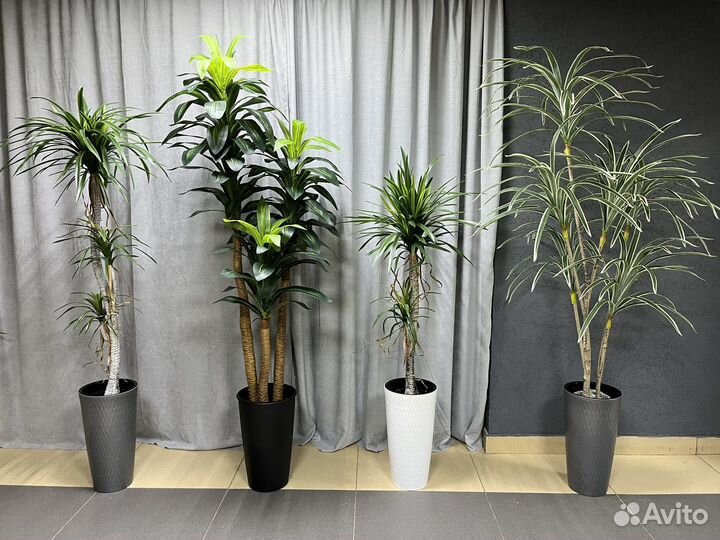 Искусственные деревья декоративные