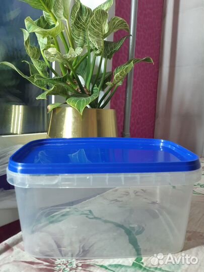 Контейнер пищевой