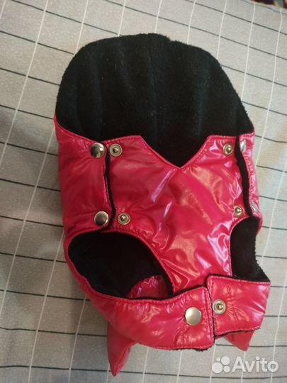 Комбинезон на маленькую собаку