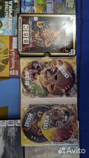 Dvd BBC лицензия