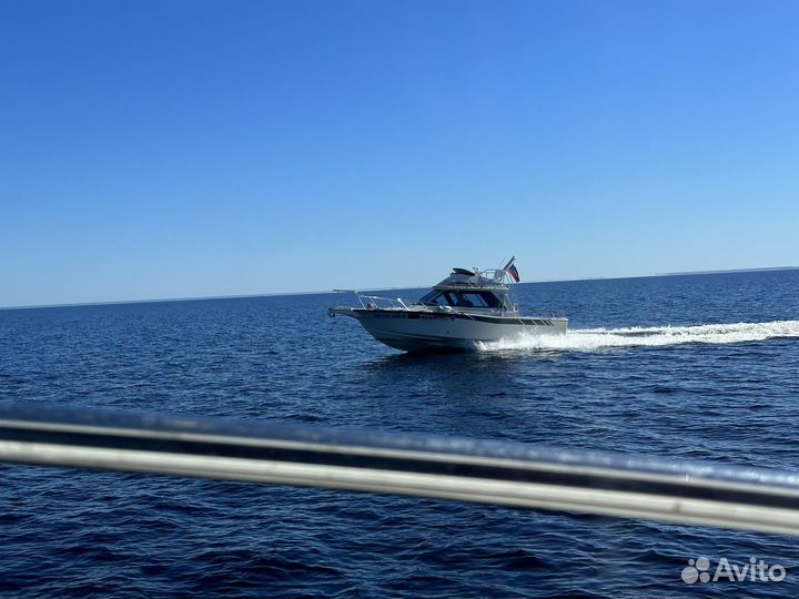 Катер Yamaha PC-26
