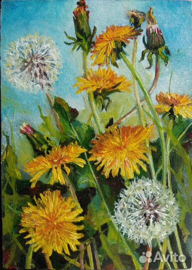 Картина маслом Цветы Одуванчики