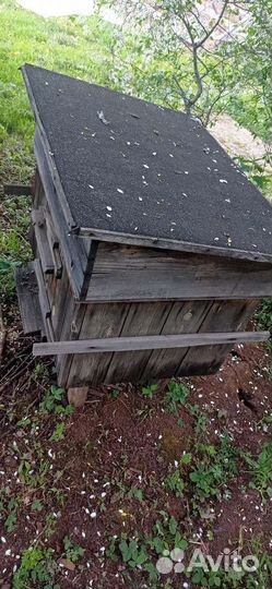 Улей с пчёлами