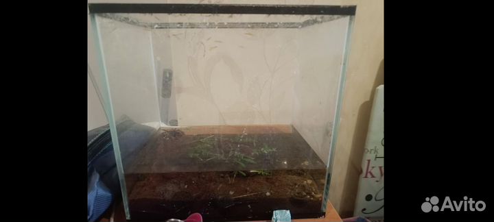 Аквариум