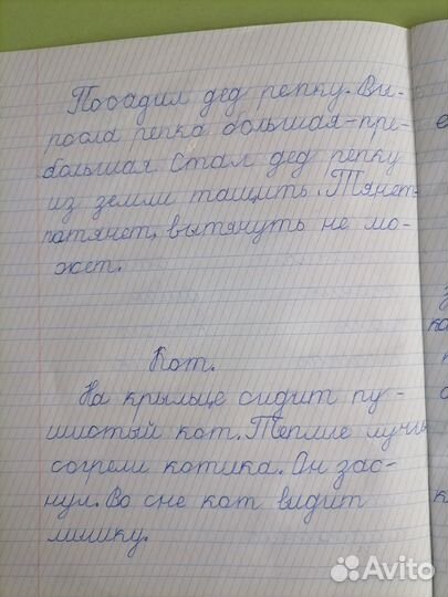 Репетитор 1-4 классы