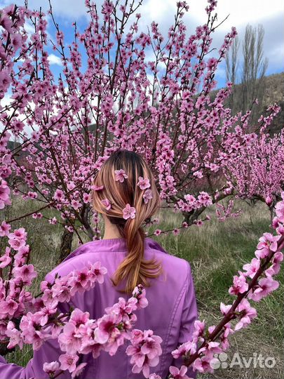 7 чудес Бахчисарая