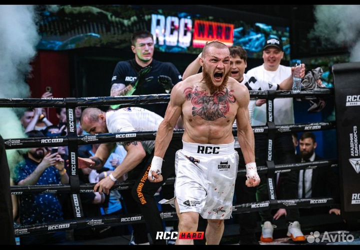 Образование и курсы