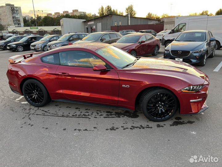 Ford Mustang 5.0 МТ, 2022, 97 км
