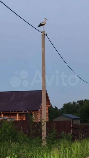 Участок 10 сот. (СНТ, ДНП)