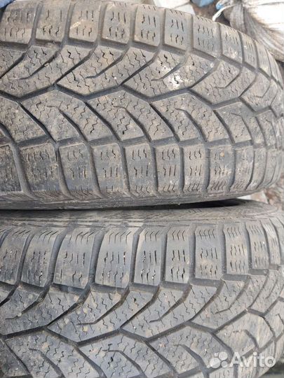 Gislaved Nord Frost 200 195/65 R15