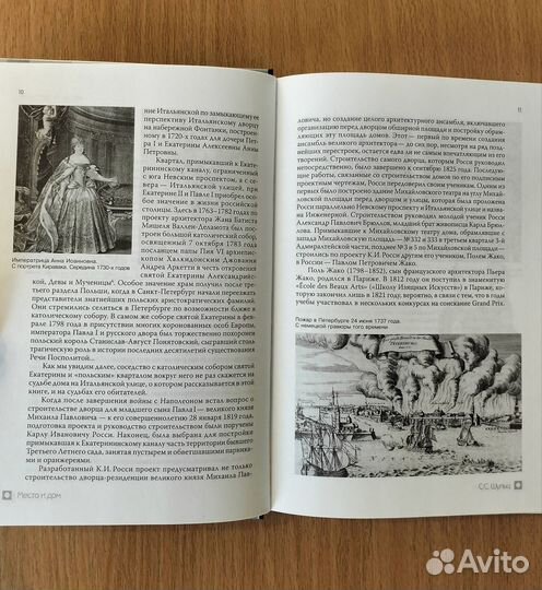 С.С. Шульц, В.А. Склярский. Бродячая собака