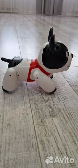 Duke