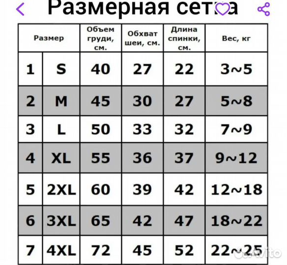 Одежда для собак