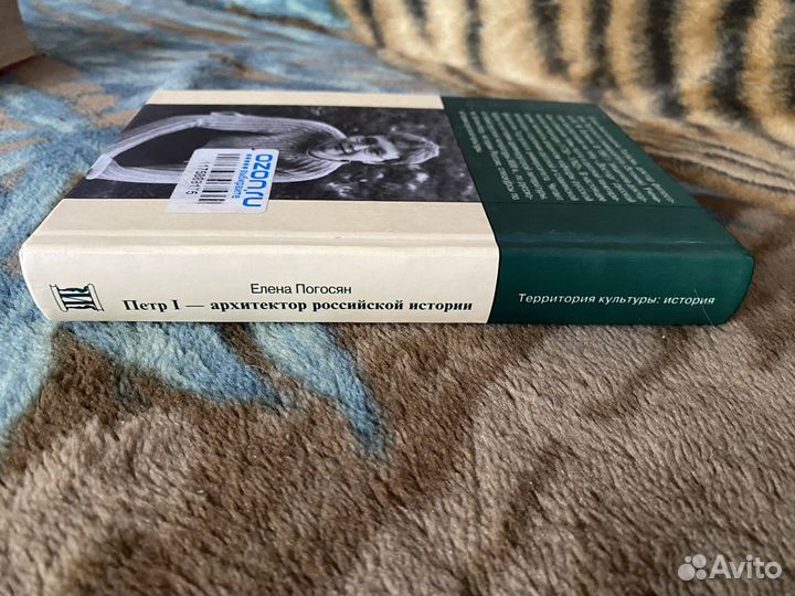 Пётр 1 архитектор