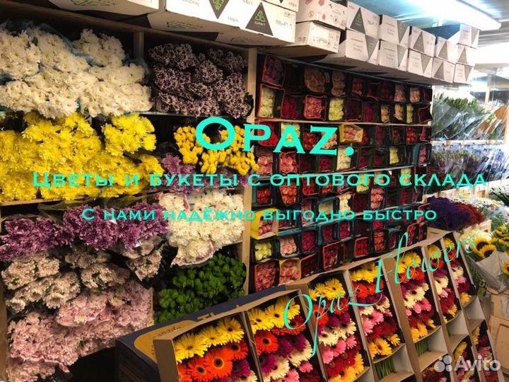 101роза 51роза 25роз 15роз Цветы Букеты Доставка