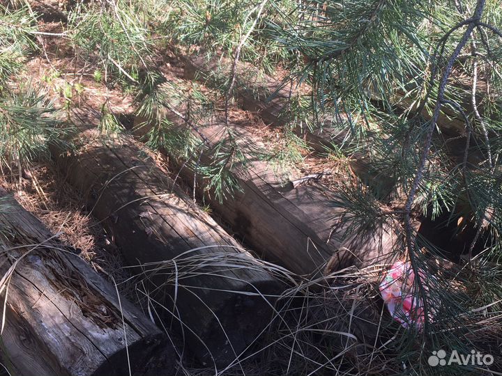 Дрова, бревна, поддоны