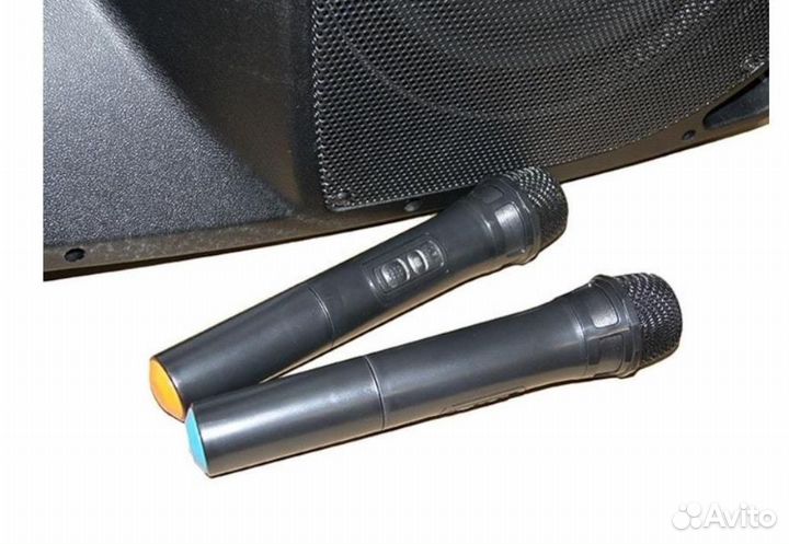 Акустическая система Leem PR-12HR