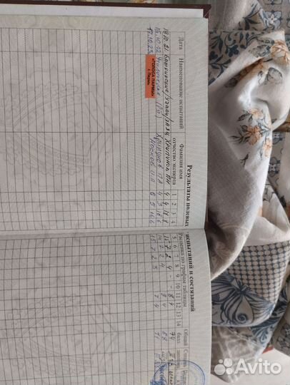 Русская пегая гончая