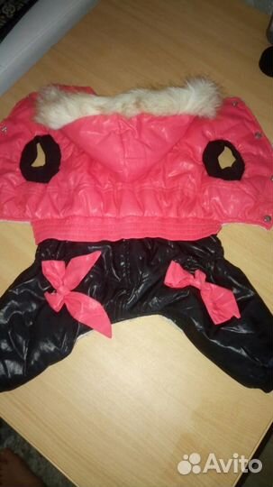 Комбез зимний для пекинеса