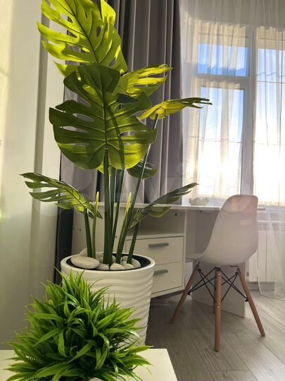 Квартира-студия, 27 м², 1/3 эт.