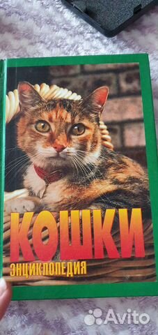 Энциклопедия кошки Джино Пуньетти