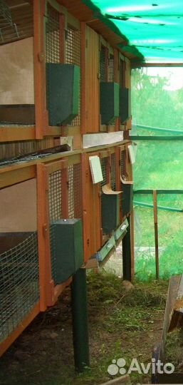 Клетки для кроликов