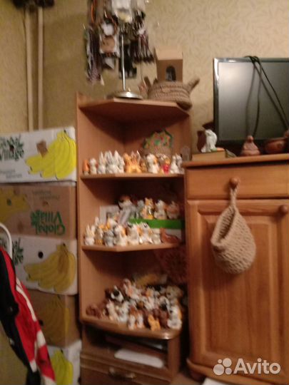 Интернет-магазин Rusterr.ru