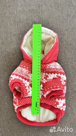 Зимняя куриочка для собаки мелкой породы