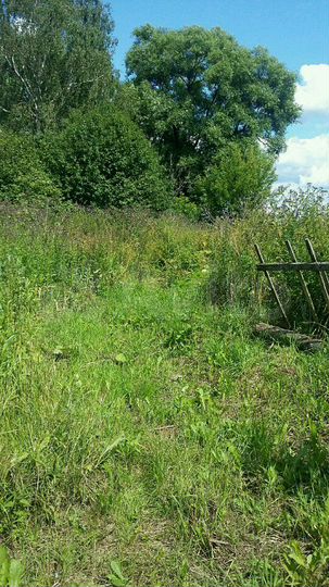 Участок 33 сот. (ИЖС)