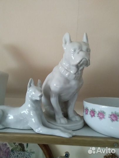 Кошки, собачки и др