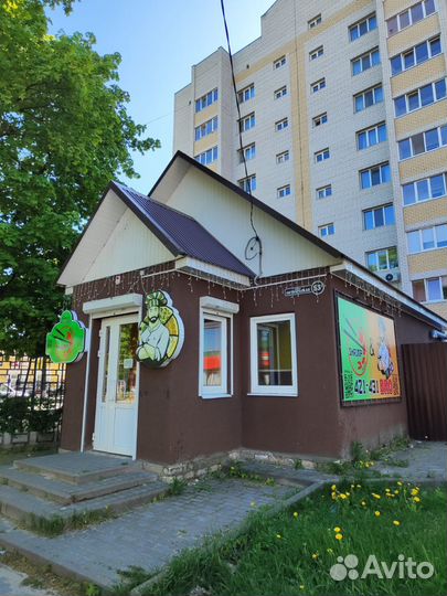 Пицца & Роллы