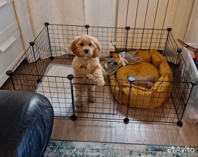 Вольер для животных новый (манеж, клетка)