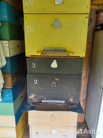 Ульи для пчел дадан