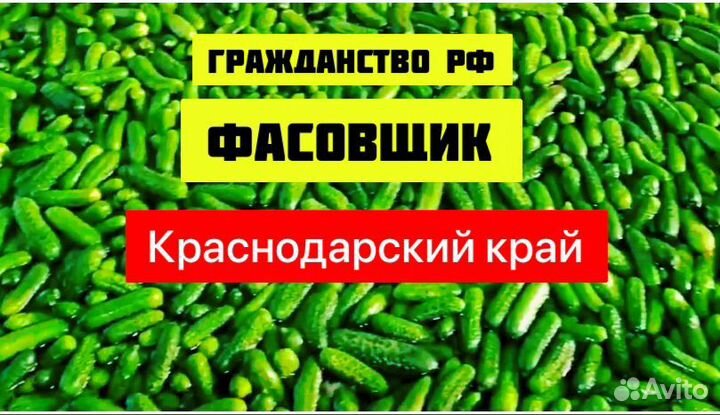 Фасовщик проезд/питание/жилье Краснодарский край