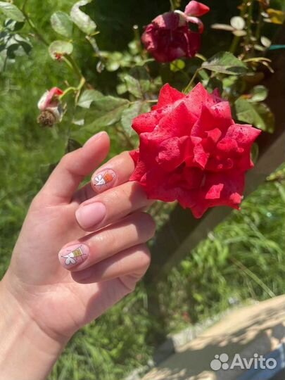 Мастер маникюра и педикюра