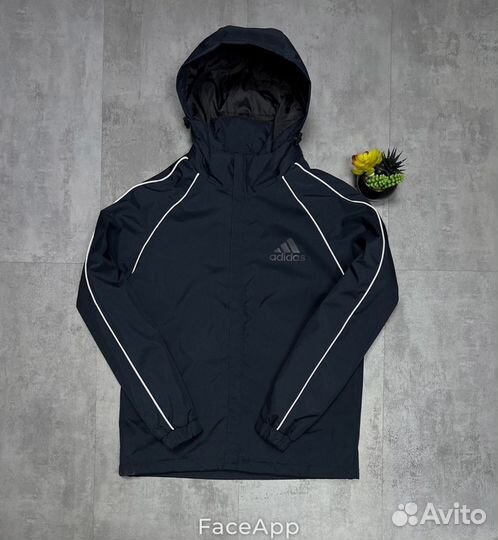 Куртка мужская Adidas