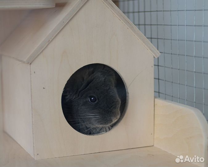 Витрина для шиншиллы Дегу Грызунов Клетка Вольер