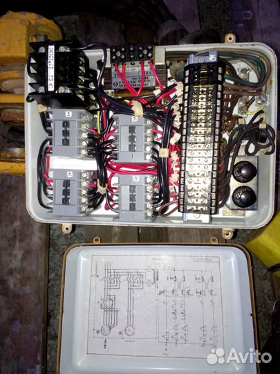 Тельфер болгарский