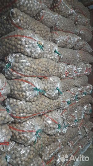 Грецкий орех и фундук