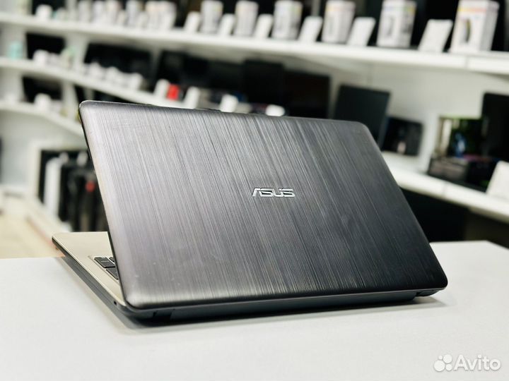 Asus 15.6