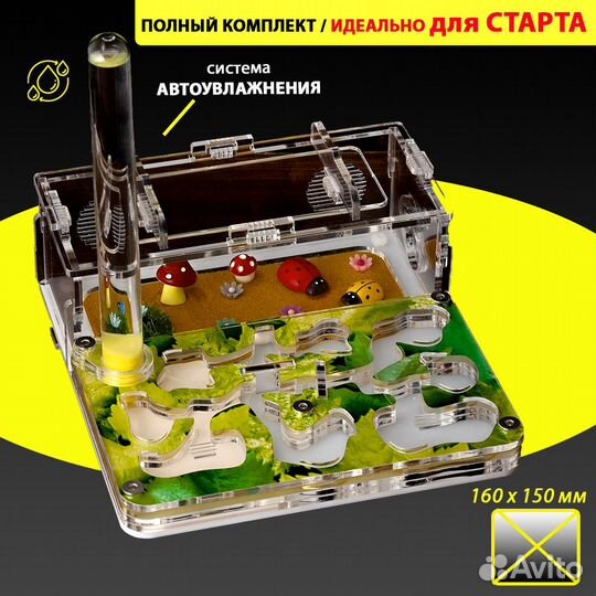 Муравьиная ферма (Формикарий) Мини