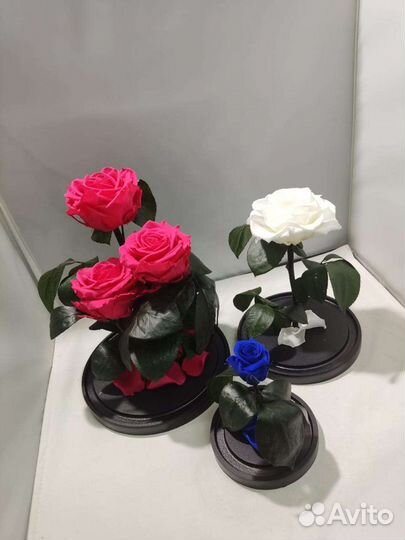 Роза в колбе оптом и в розницу