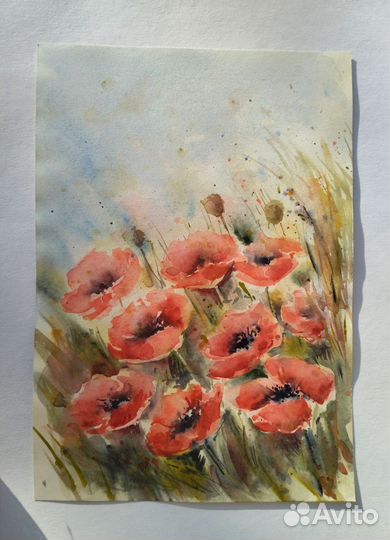 Акварель цветы маки