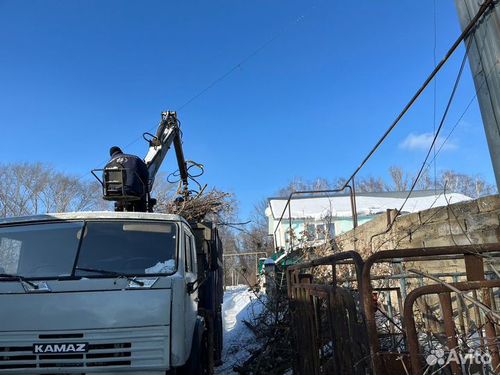 Спил и кронирование деревьев